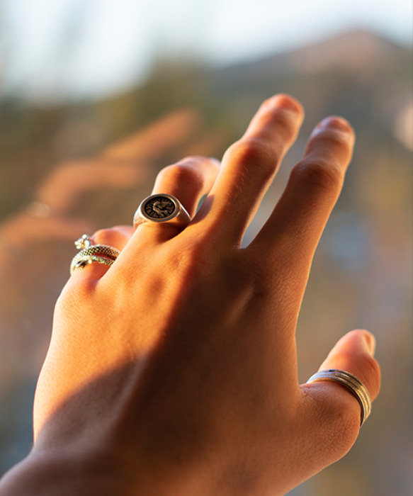 Picture for category Rings